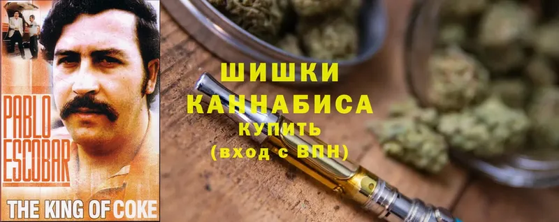 где найти   Лысьва  Конопля Bruce Banner 